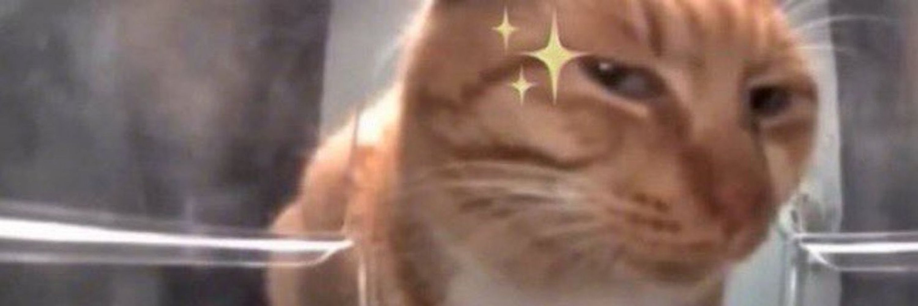영