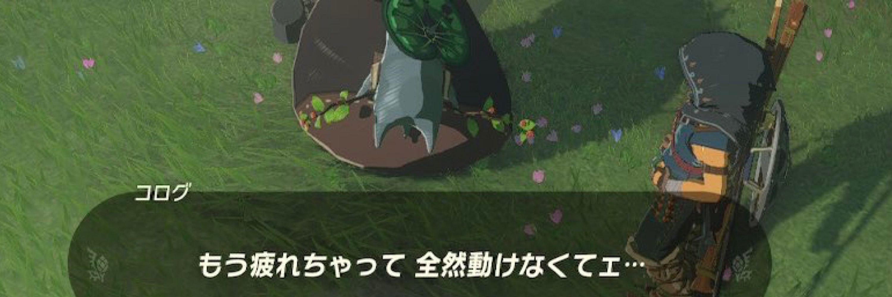 むーさん63