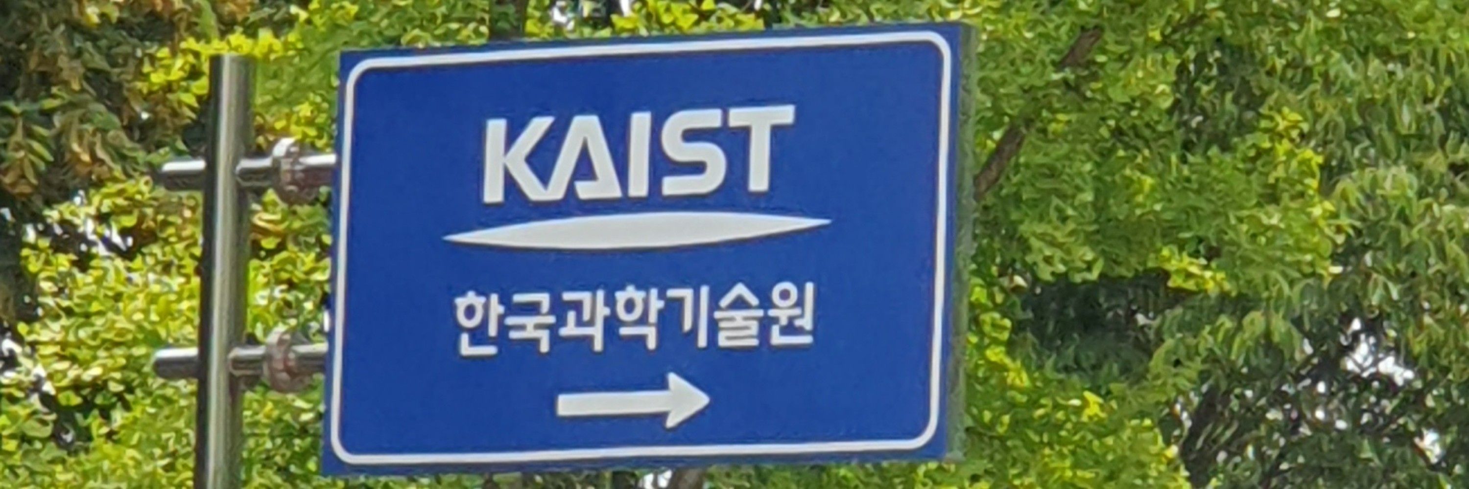 산
