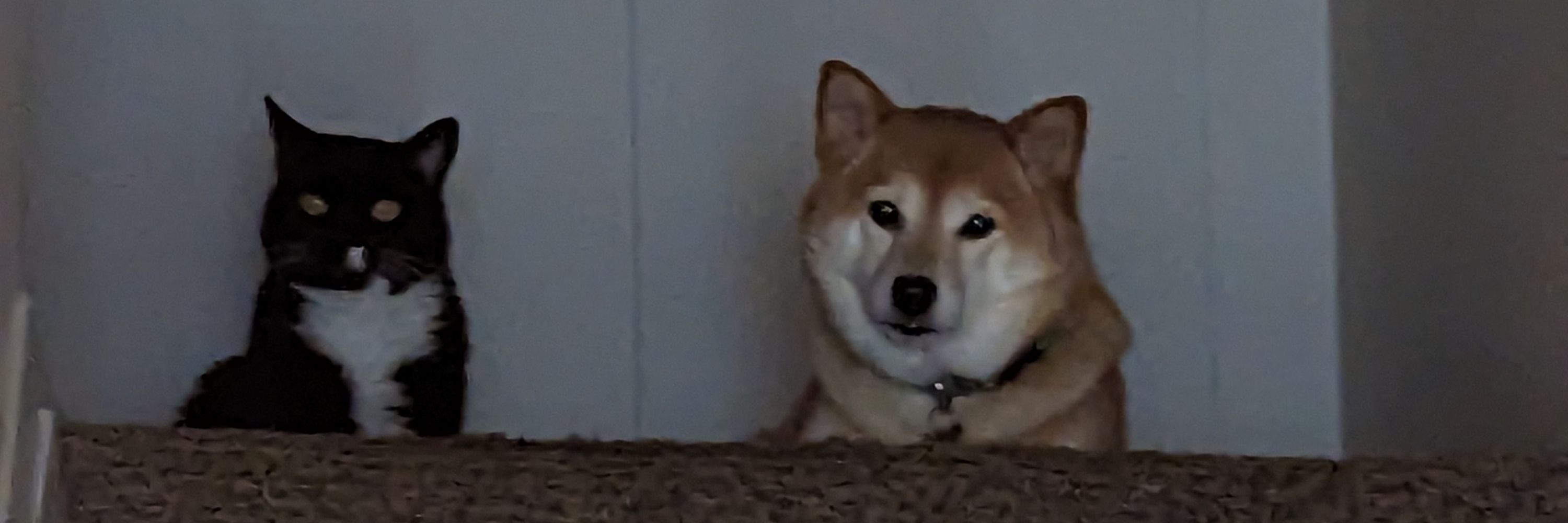 PKManiac Winston