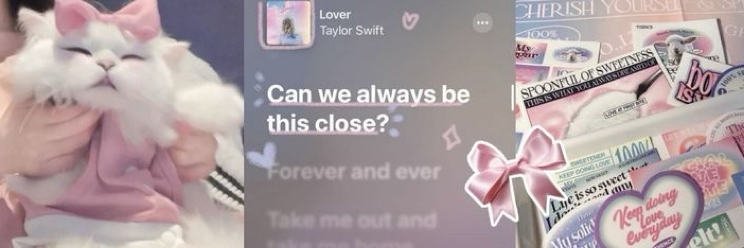 ✩ 𝑒𝒾𝑔𝒽𝓉𝓈𝓊𝓃𝒻𝑒𝒷 ✩･ﾟ