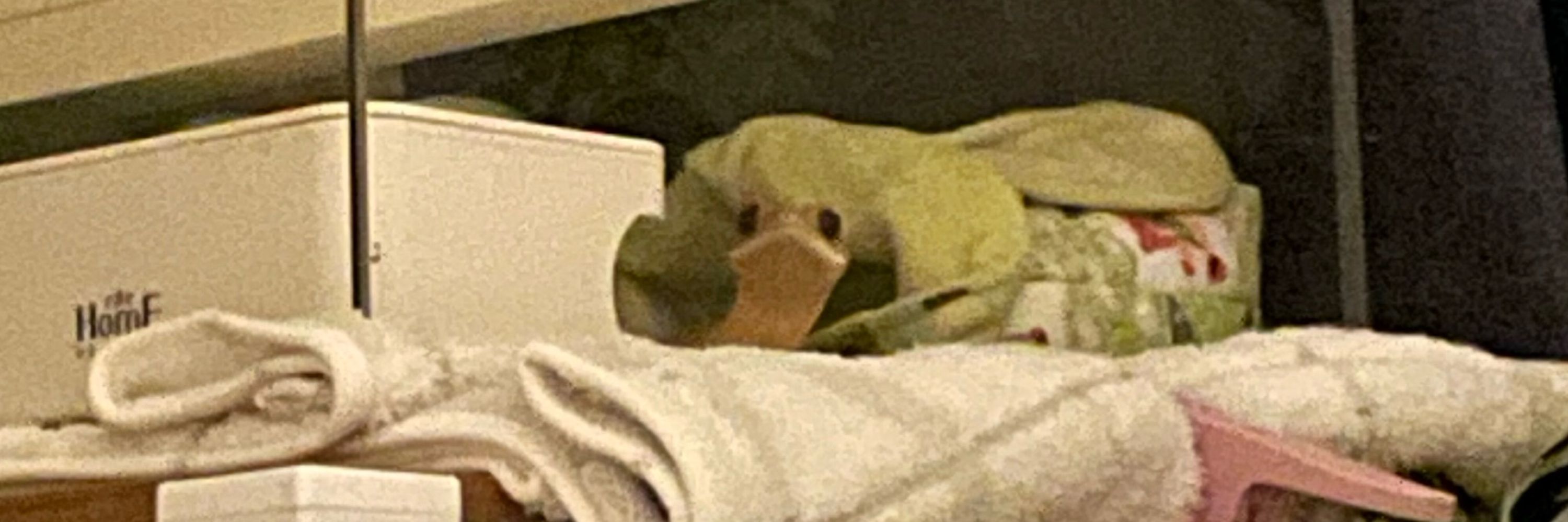 크레구리