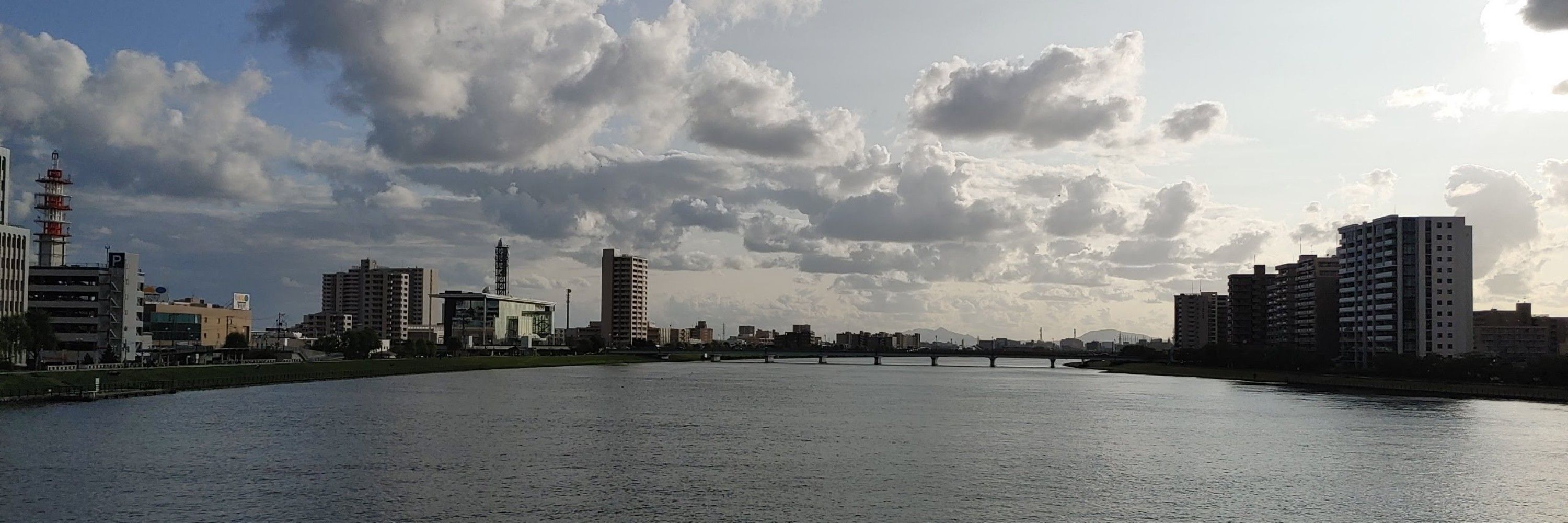Rinosuya