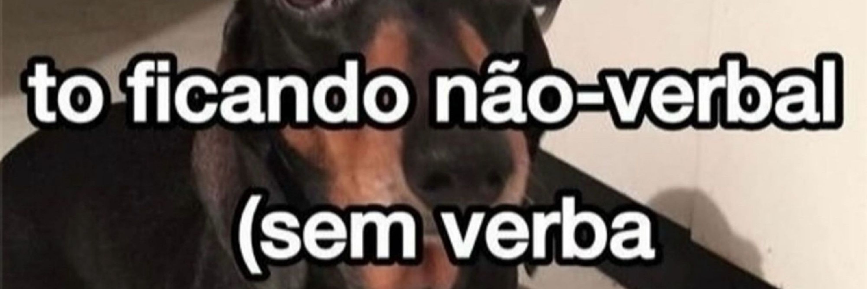 Não tenho..