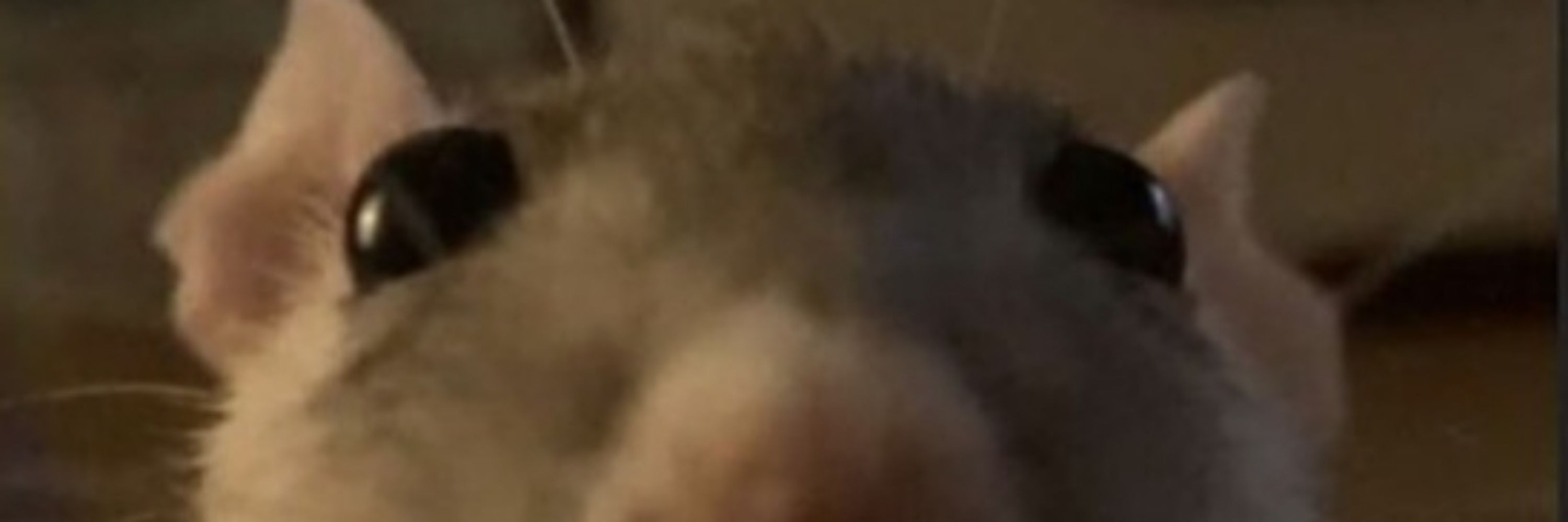 Konkrete