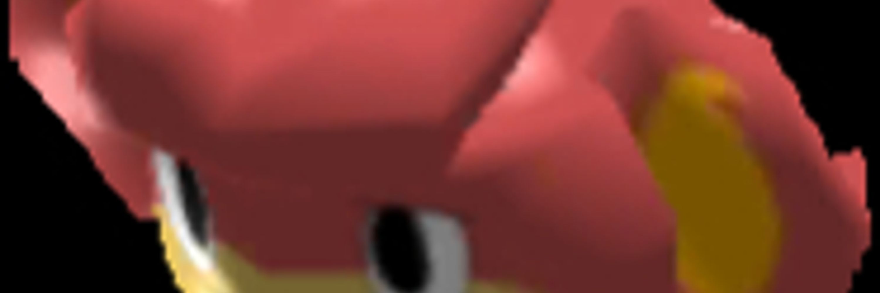 BambooWahoo