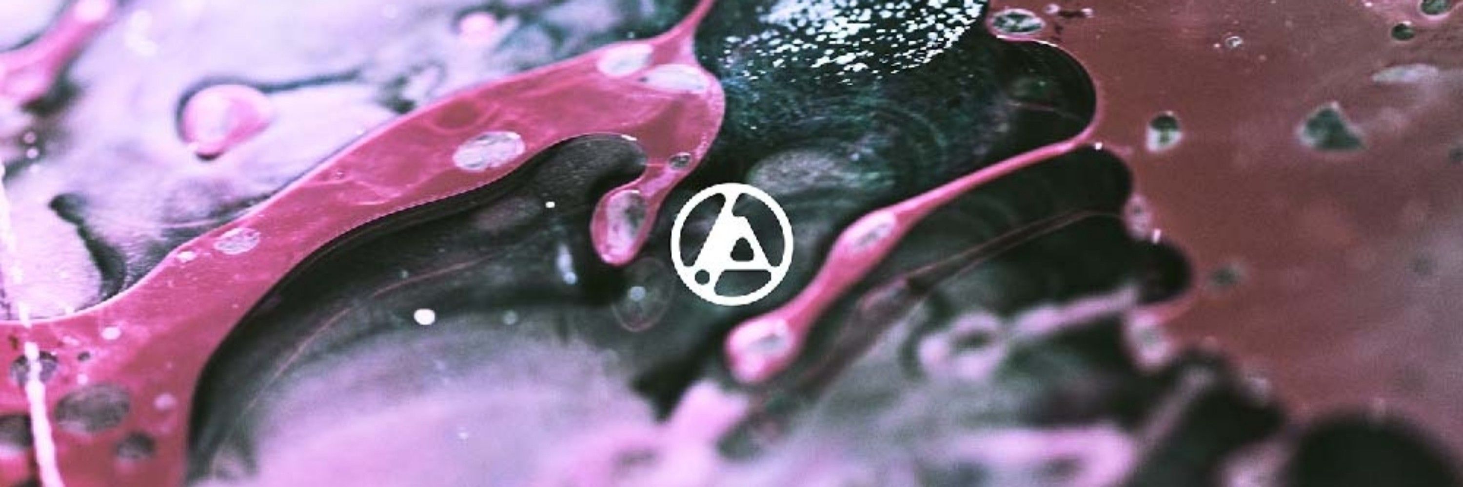 ParadoxTheWiser