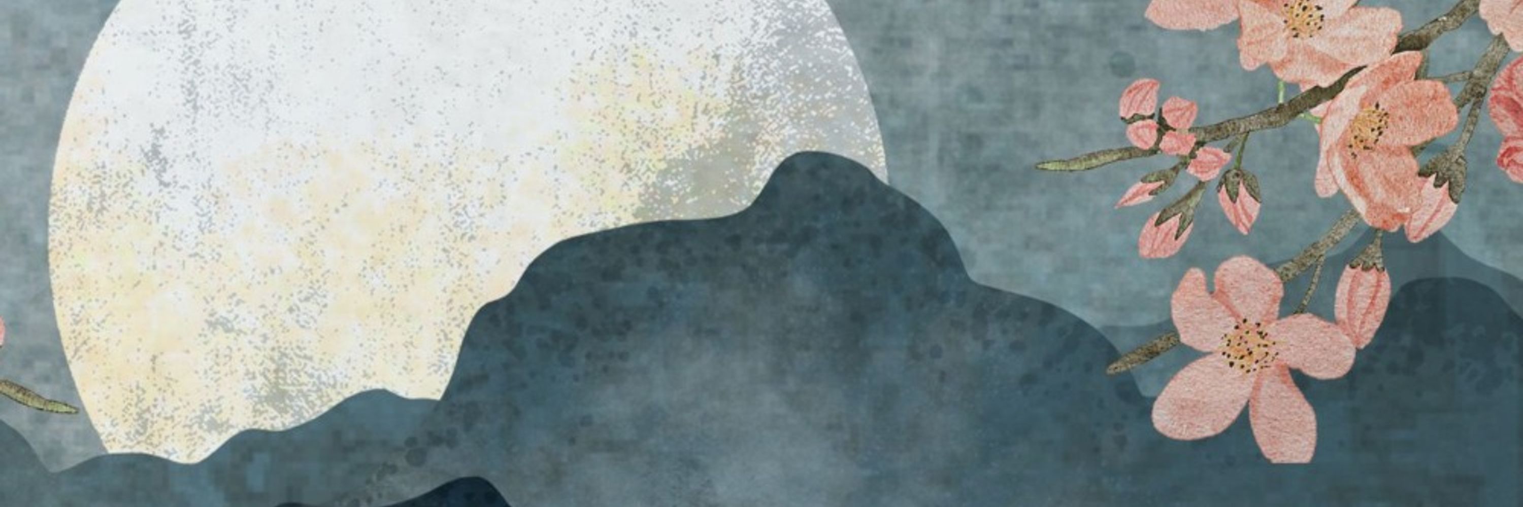 CJ Moon