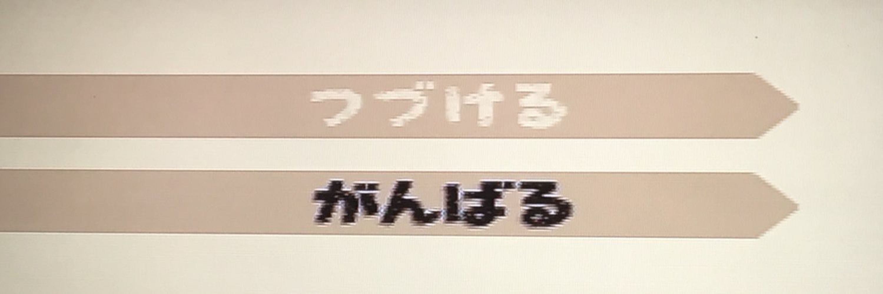 ハト。