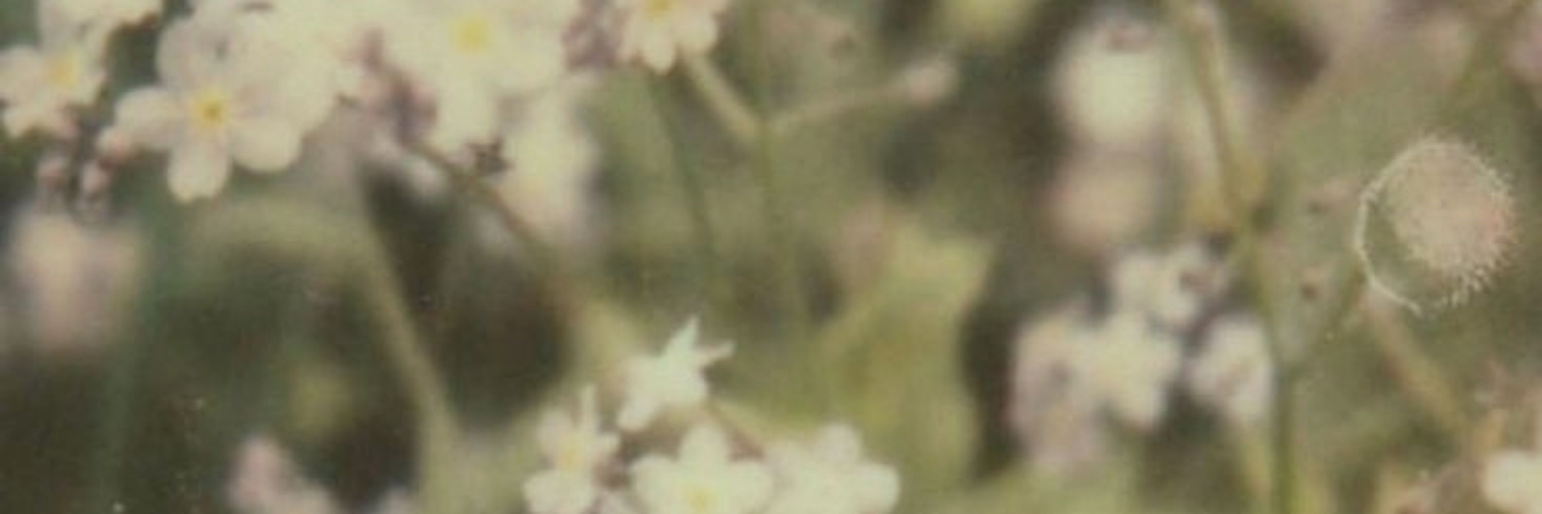 ᥣіᥒᥱ᥎і✧₊∘