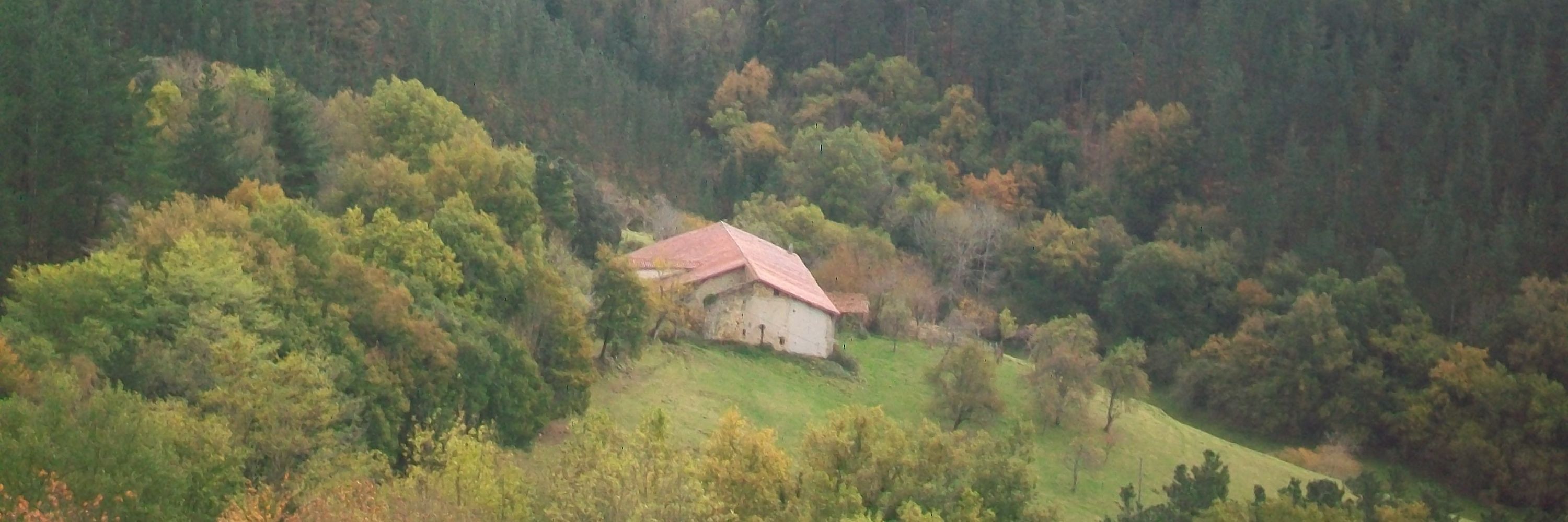 Basoa Fundazioa