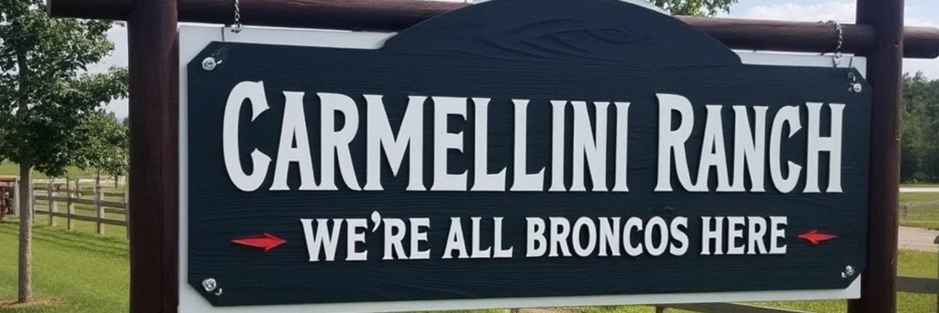 Mike Carmellini