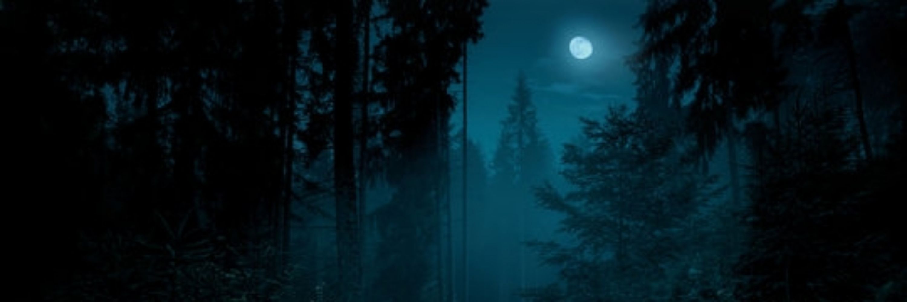 The Wolfman/Wolfe