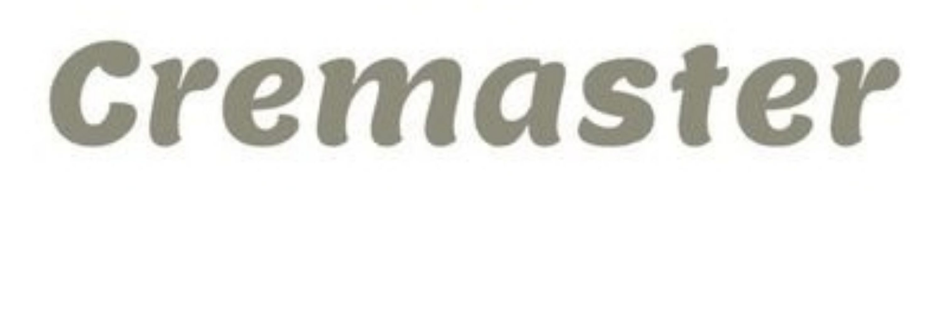 Cremaster