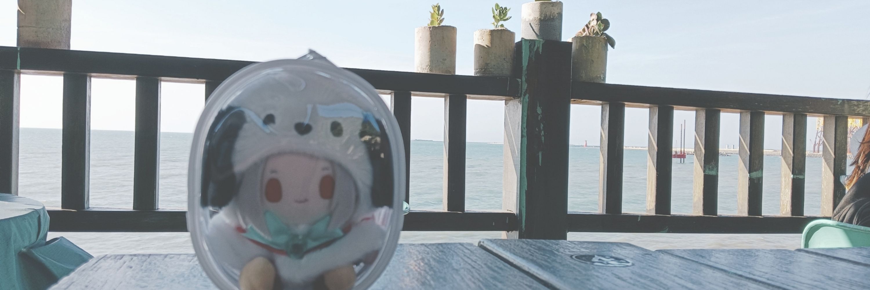 二月幽七/不二嵐