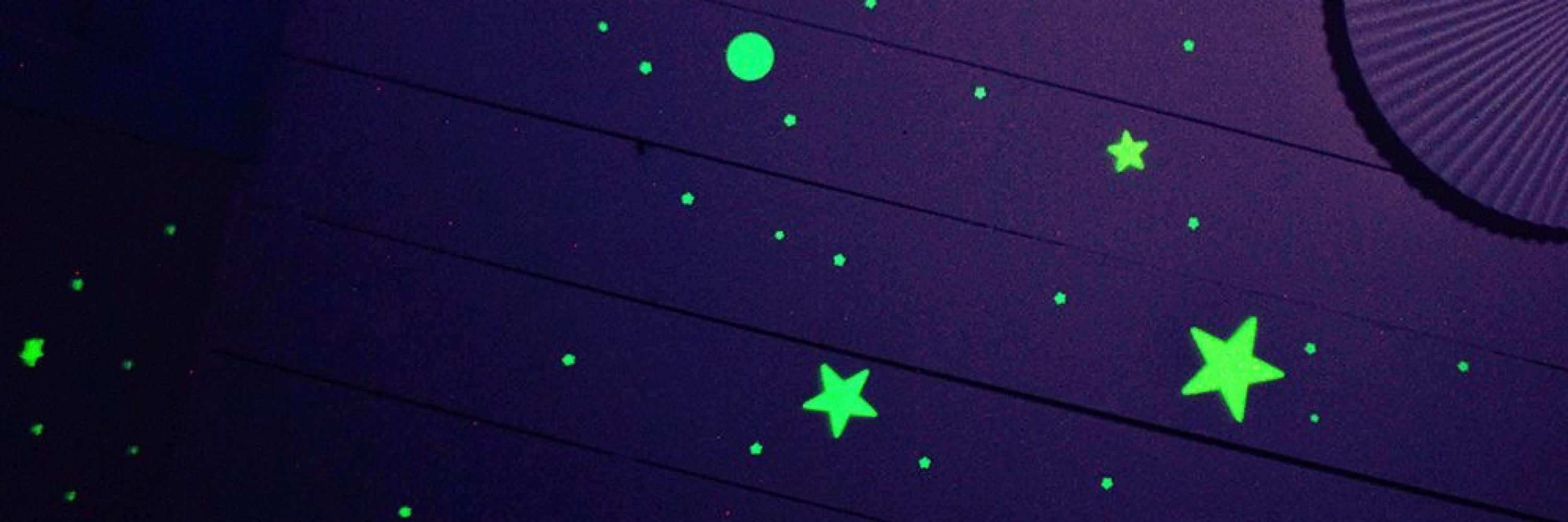 Graph Bird ✦˙•