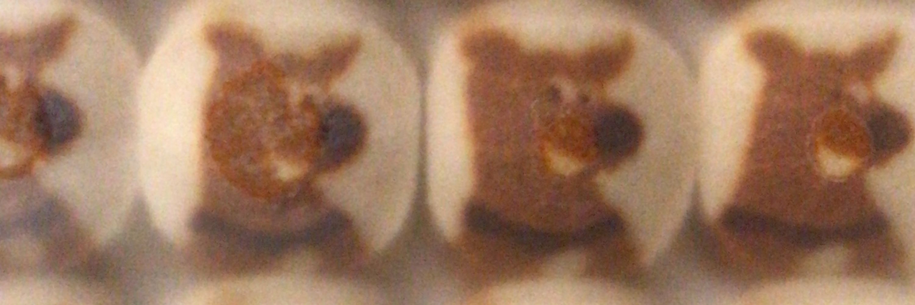 piridingo