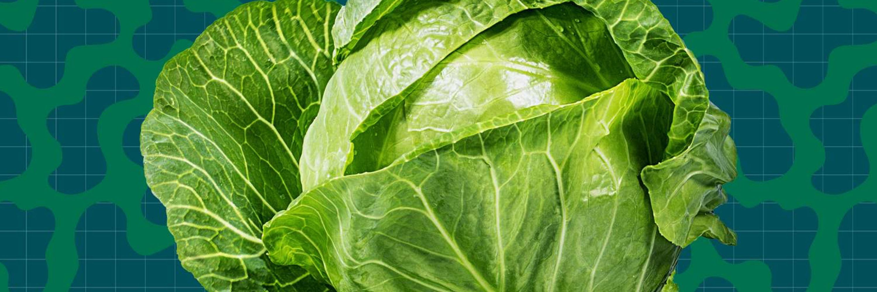 Cabbage