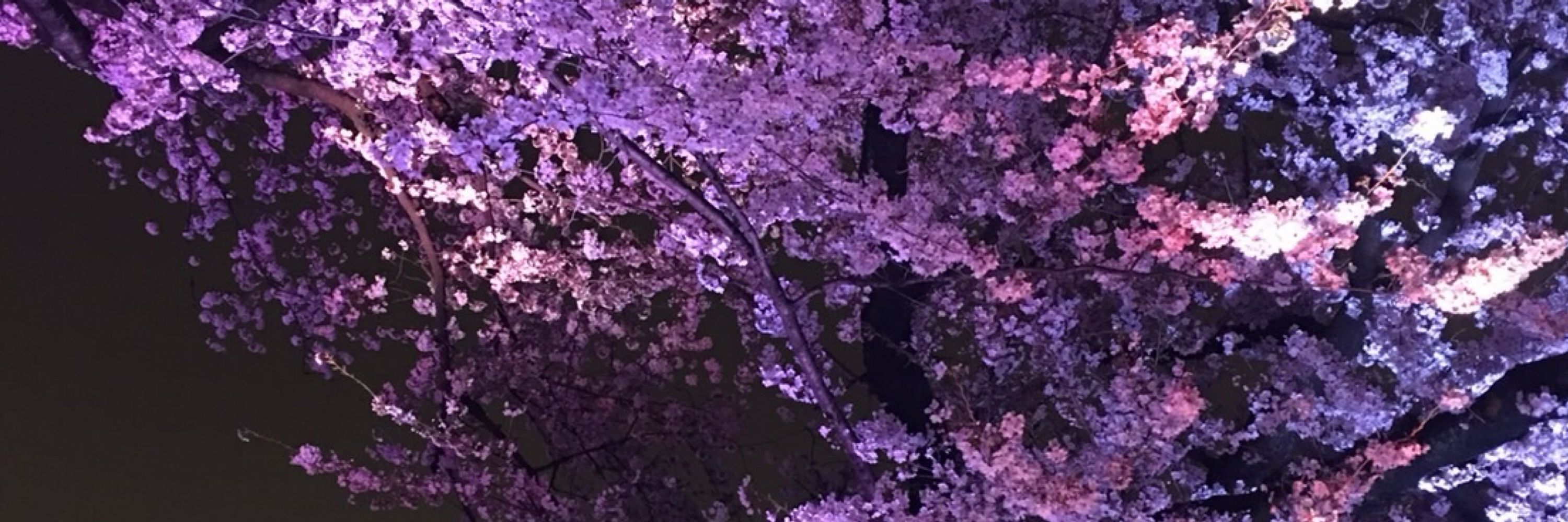 すけヲ