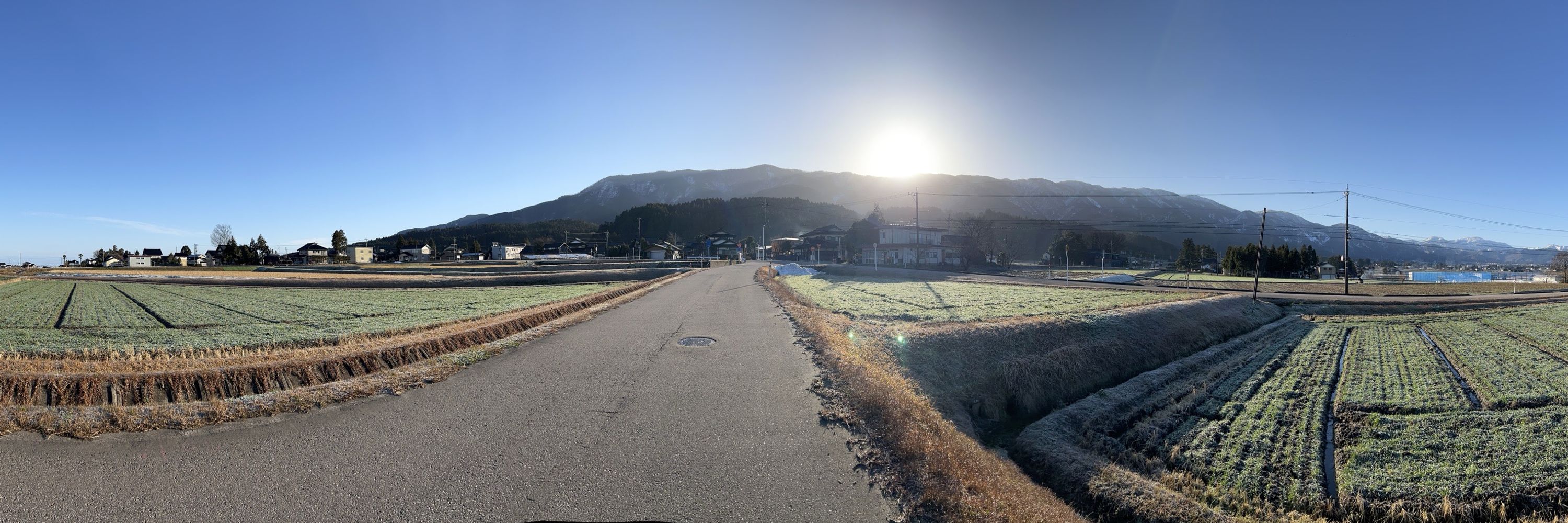 坂田理