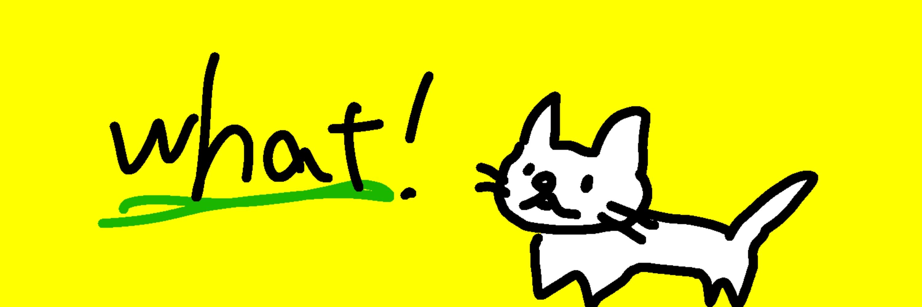 ノヤマネコ