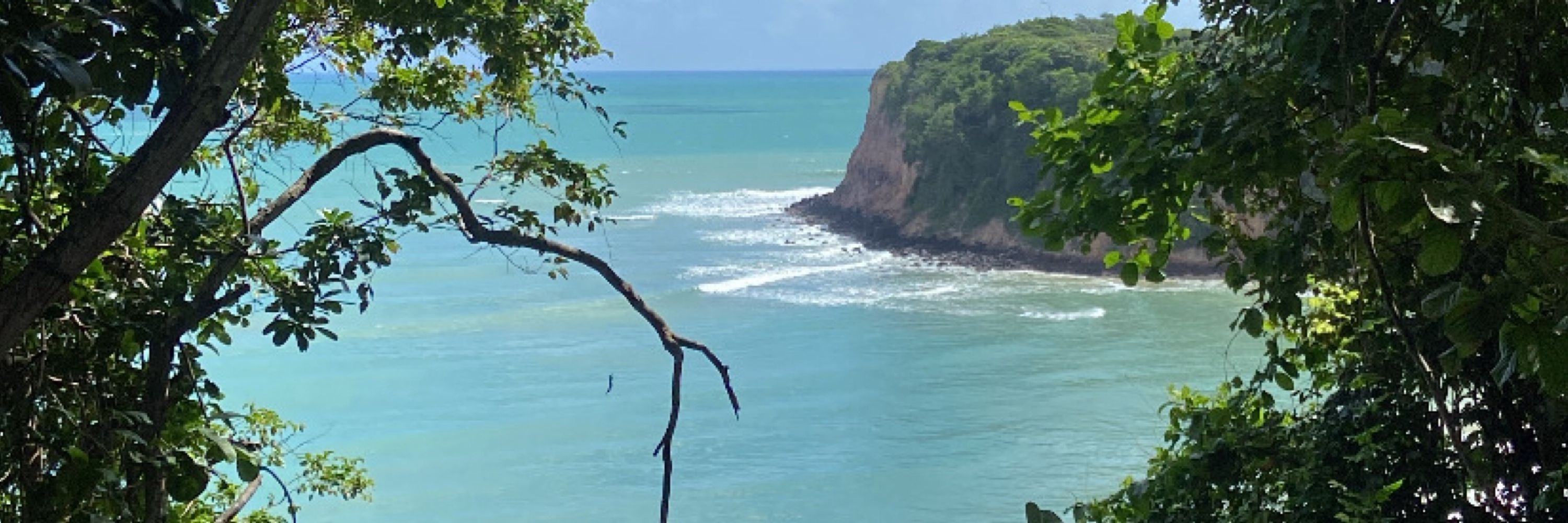 elô 