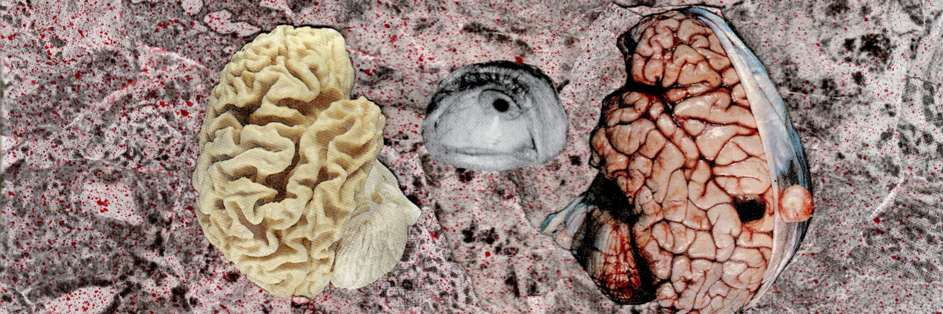 Trashbread