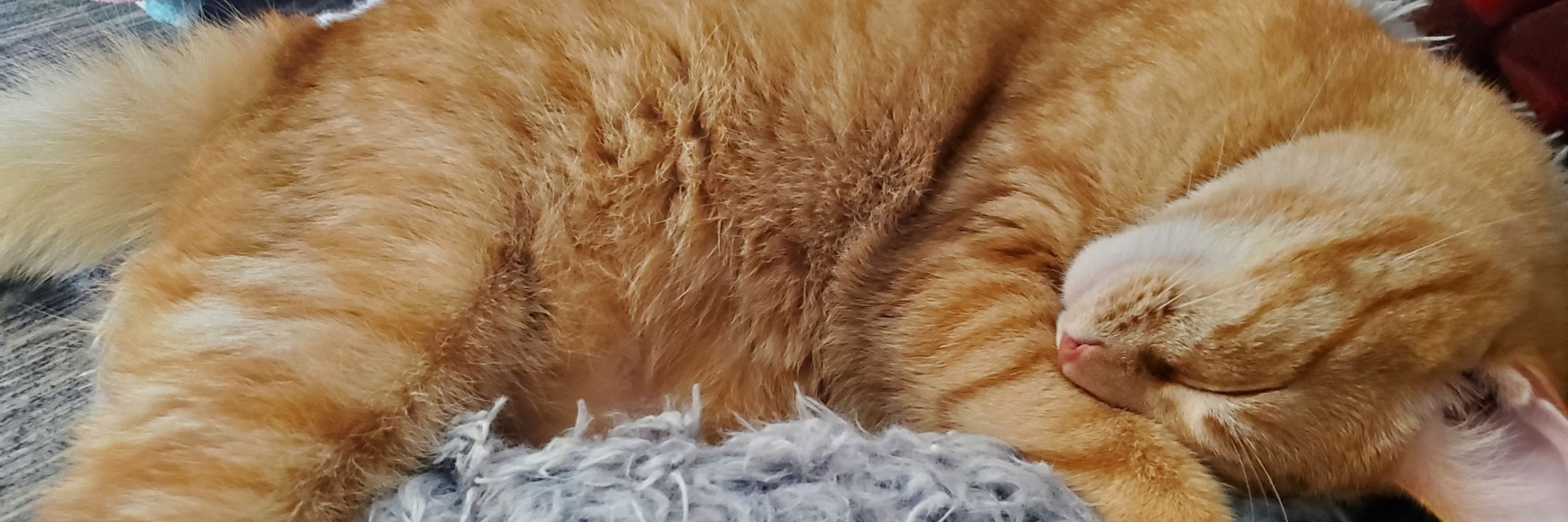 Twisted And Spoiled