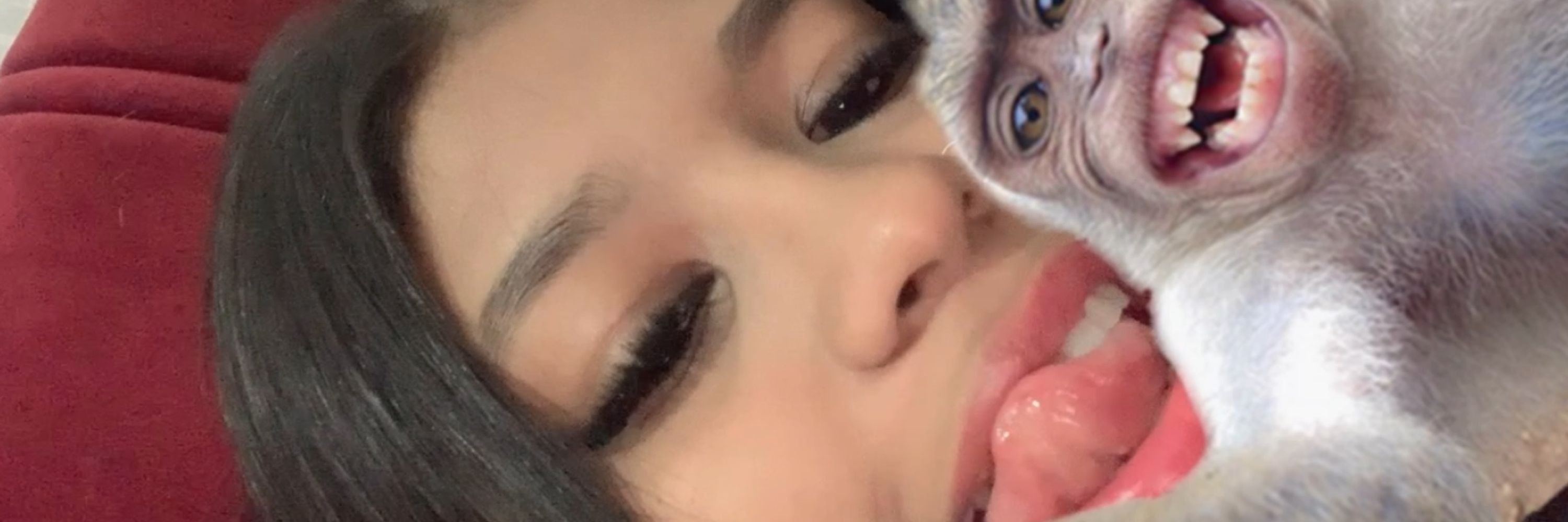 malu 