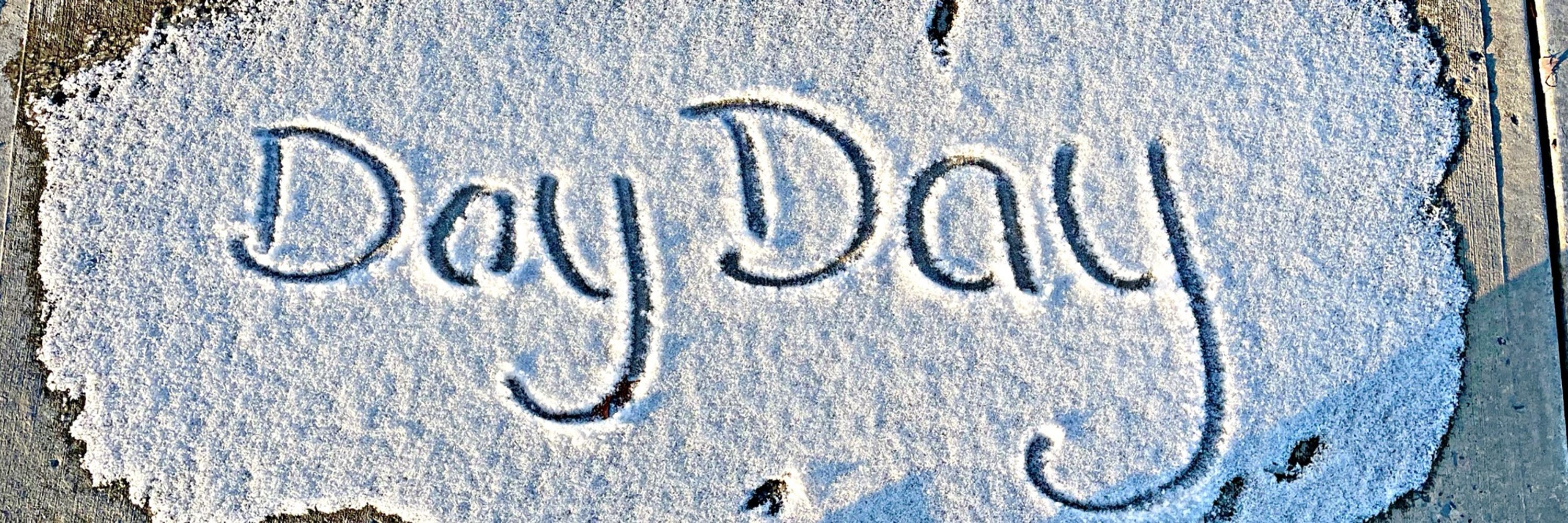 DayDay