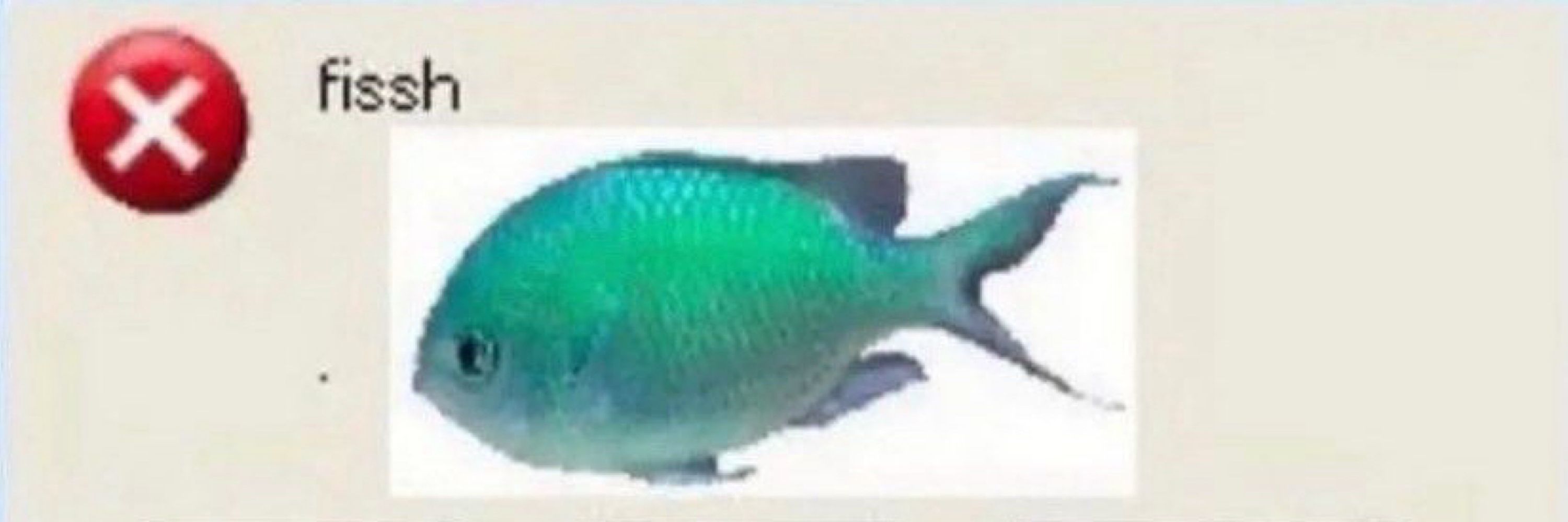 koi