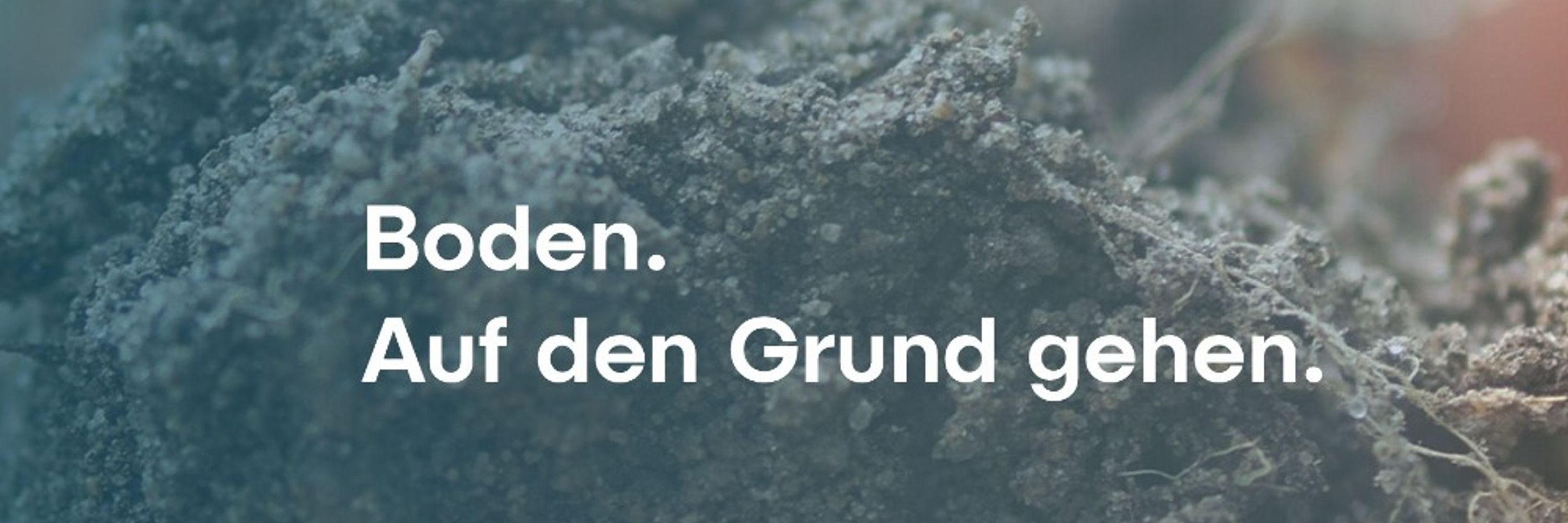 soilsDBG