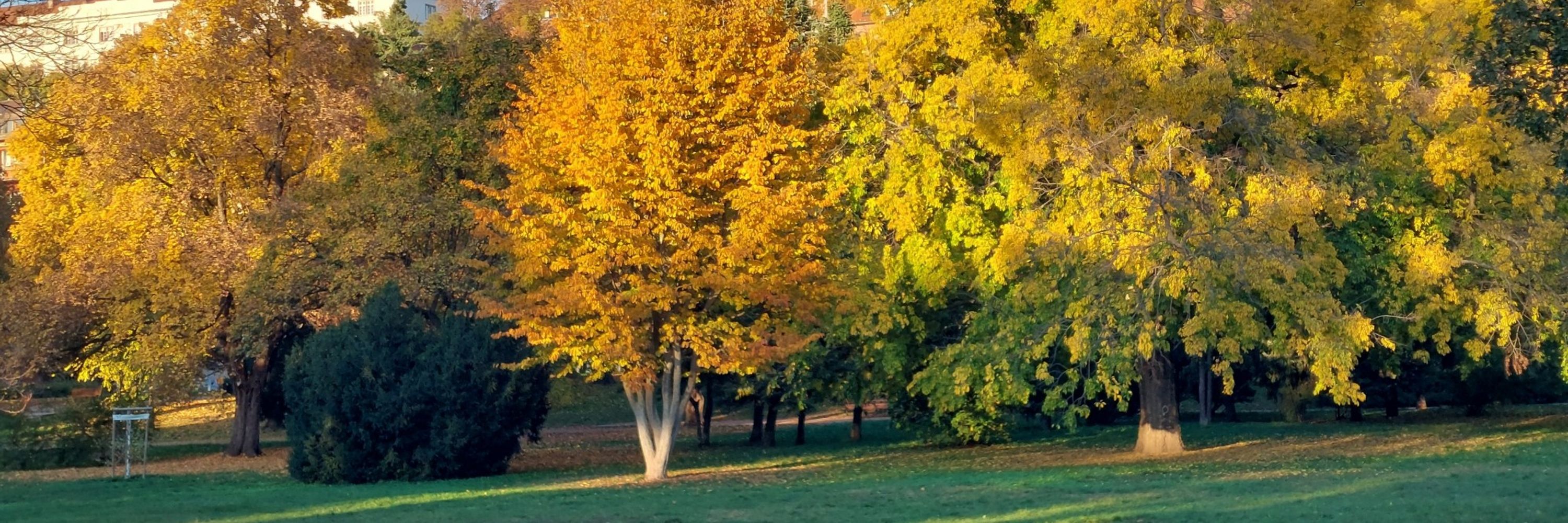 Szoldi Gábor