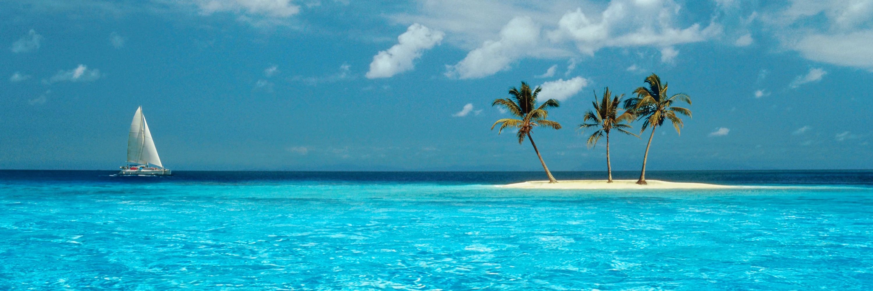 🌴Blue 🌊