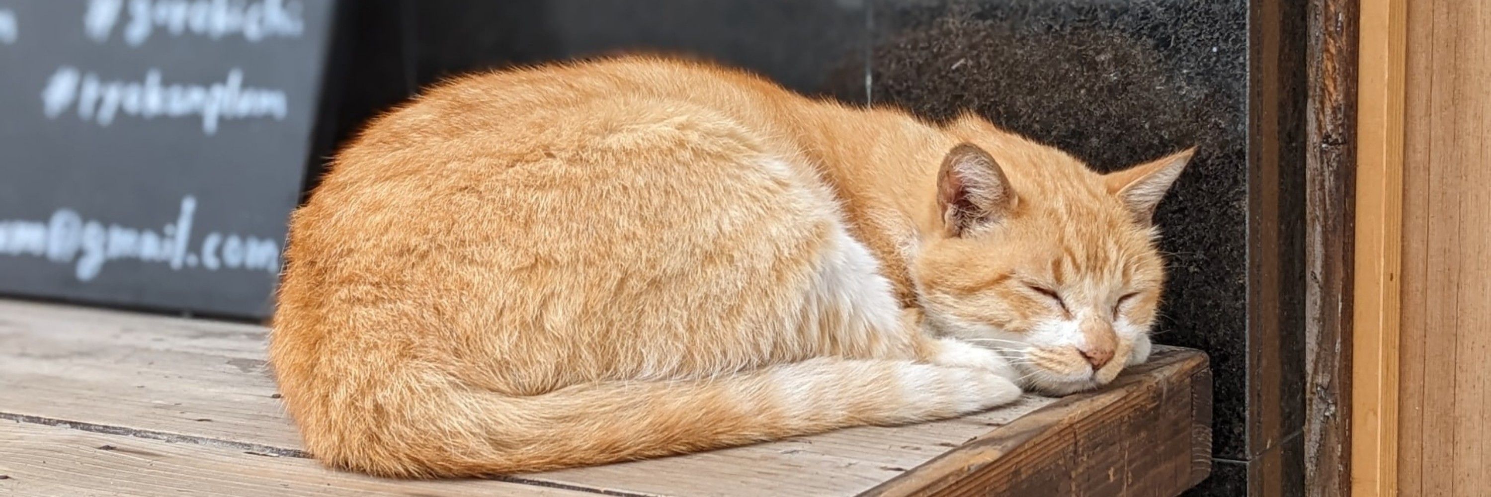 tu)