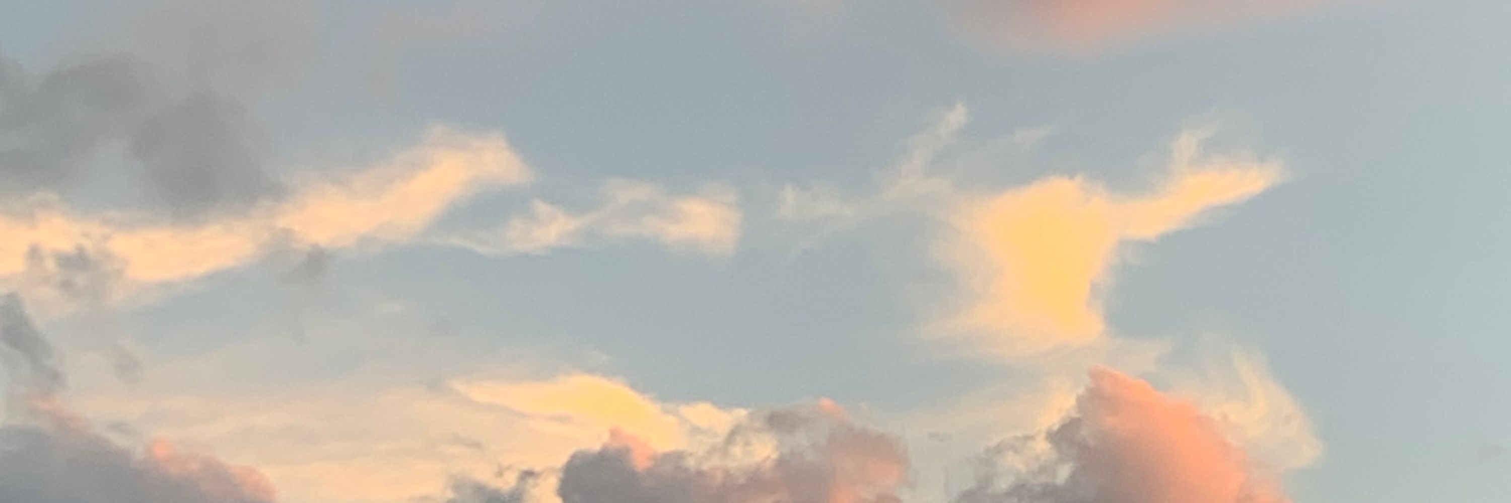 ひつき