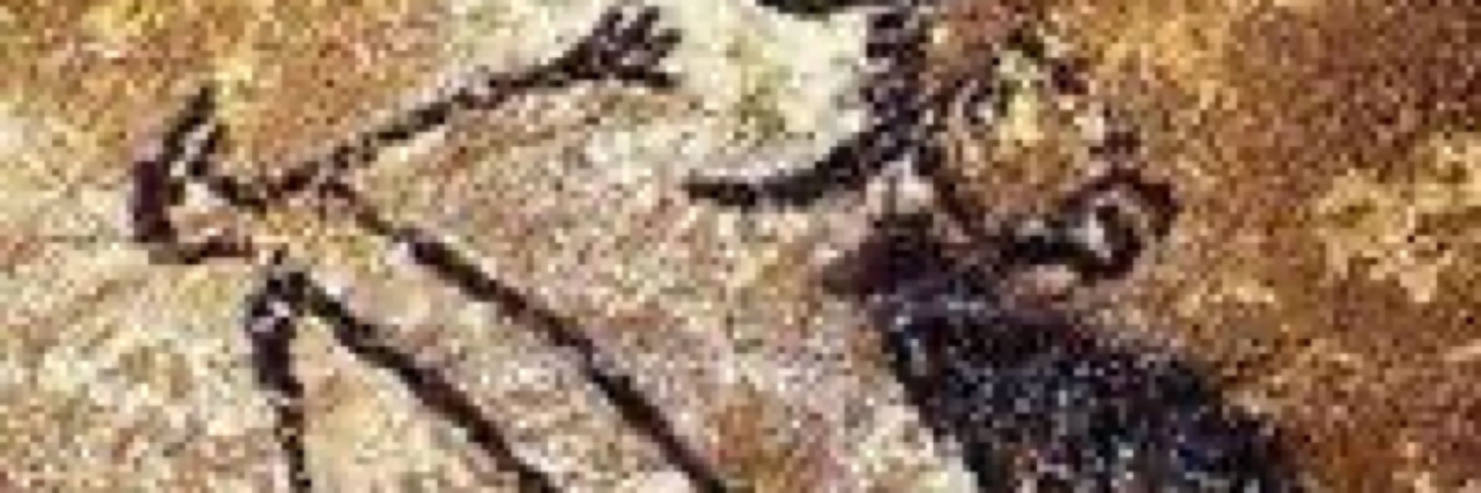 Lascaux Bird