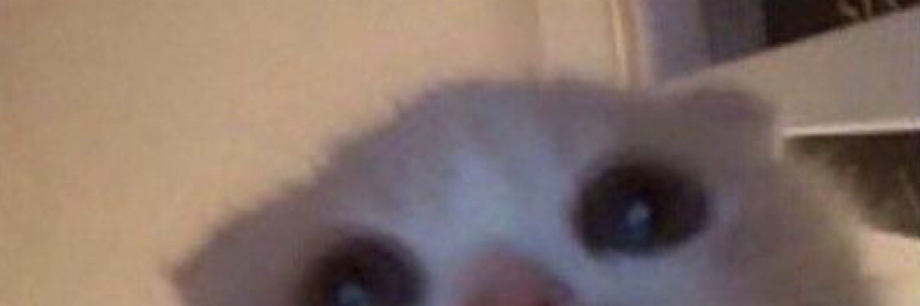 dene