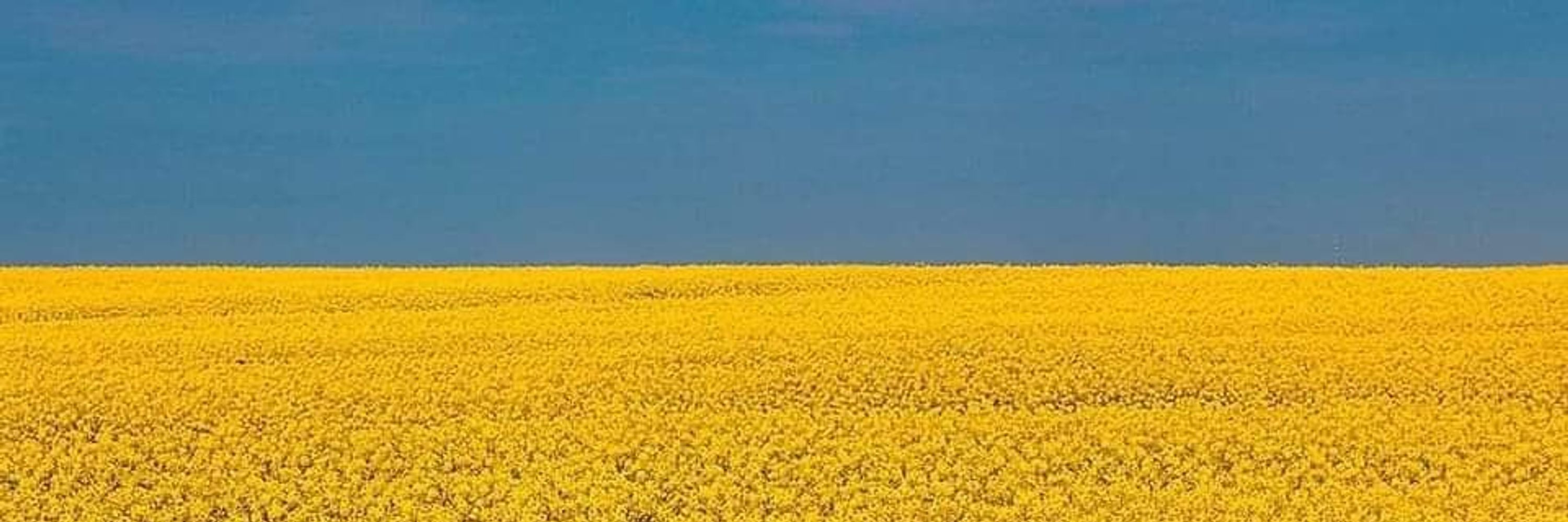 César Boullosa 🇪🇺🇺🇳🇺🇦🌻🚜 #IStandWithUkraine