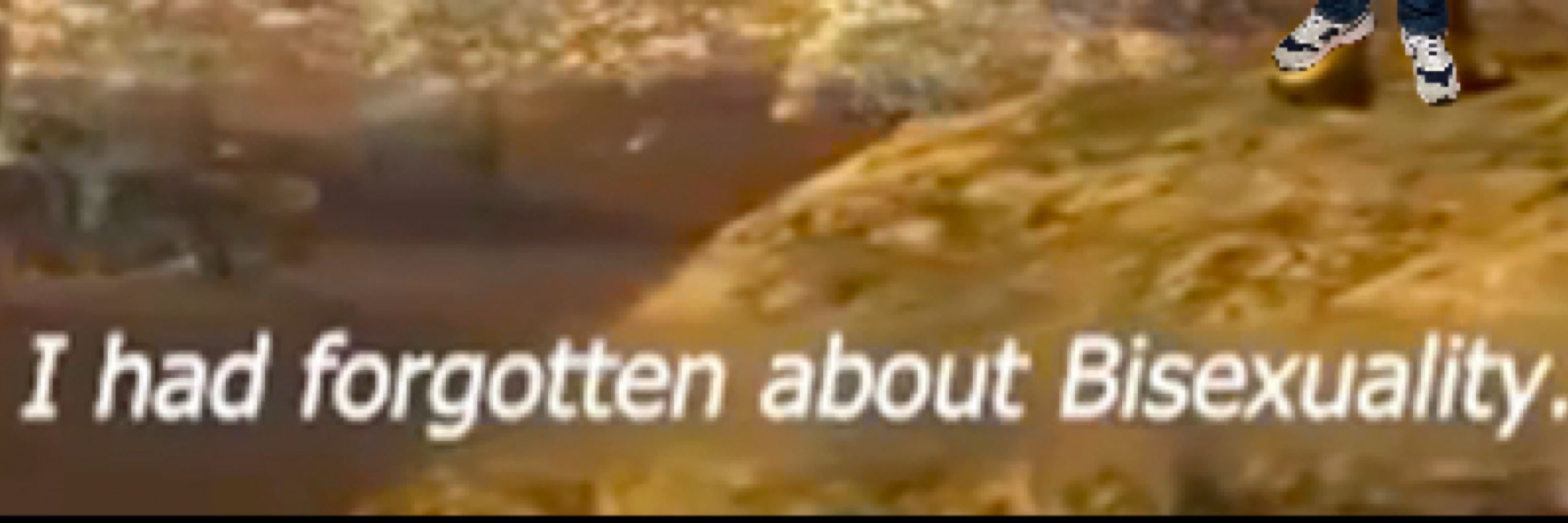 Shitposts 🐟