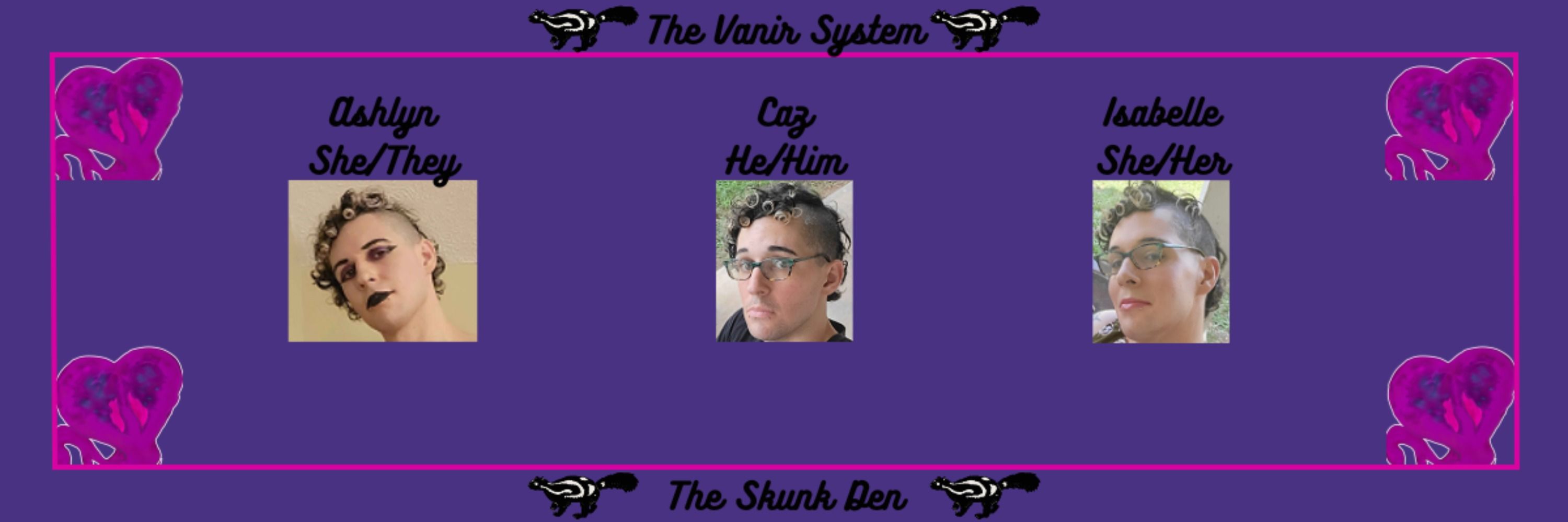 The Vanir System