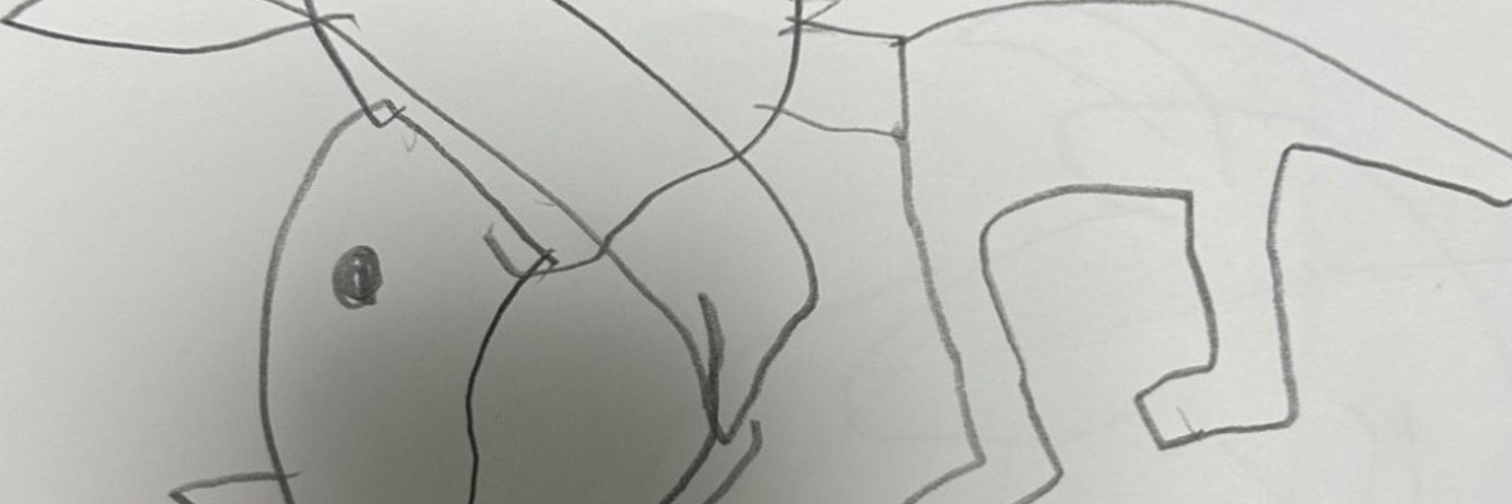 あだしの