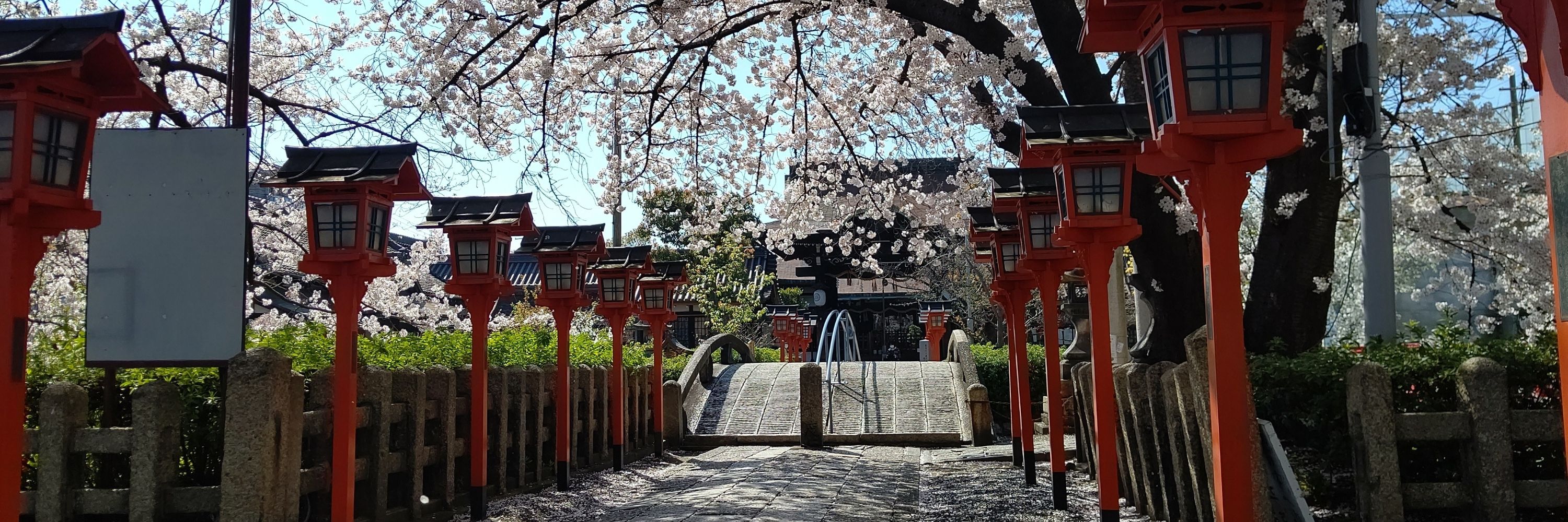 まいこー