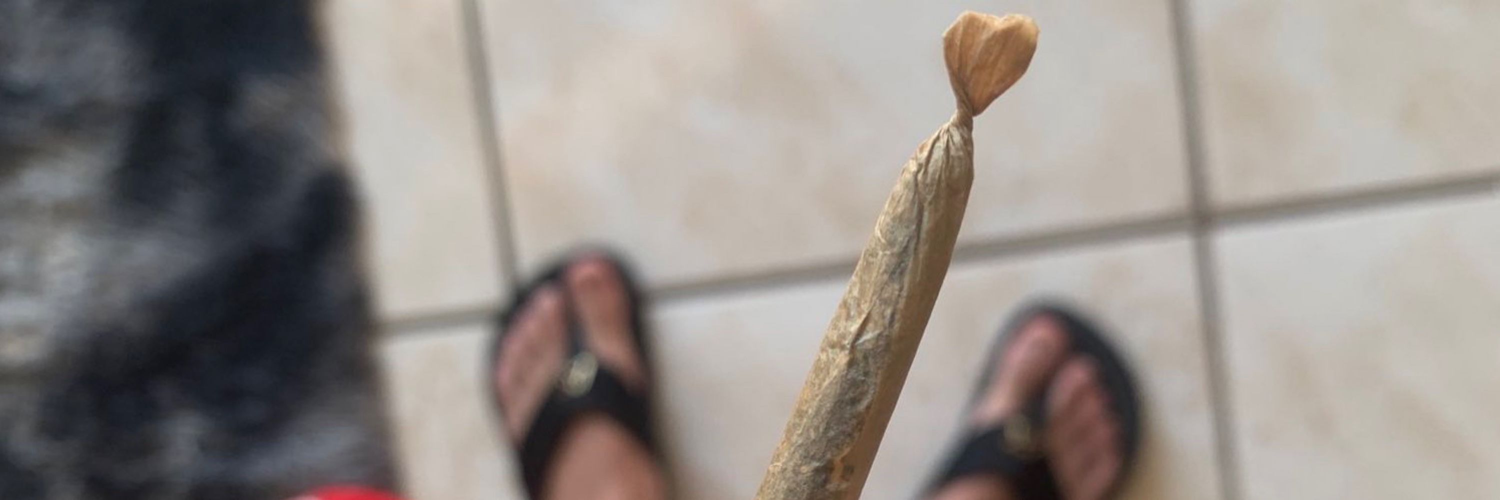 Pivete 🍁