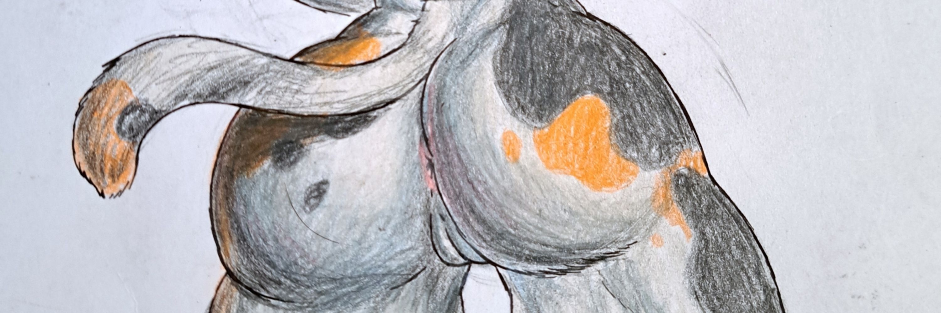 LewdVixen