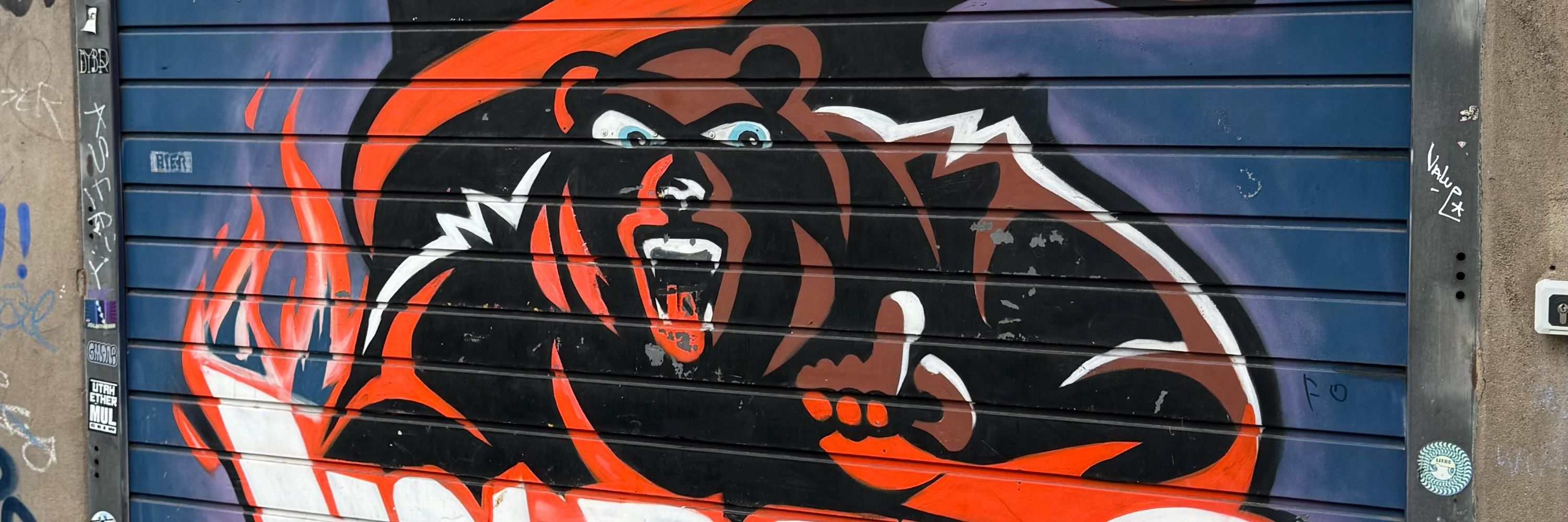 FLBear