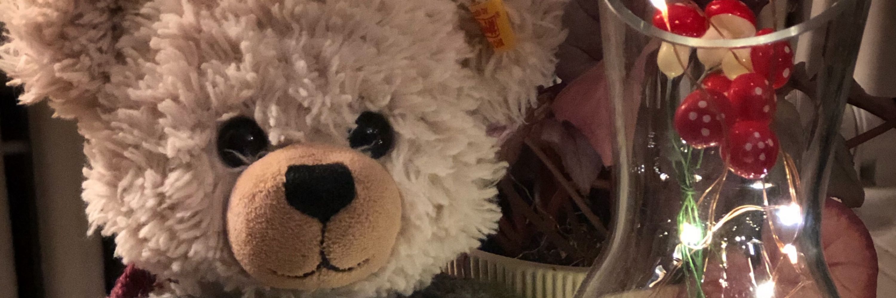 Lisa Bear