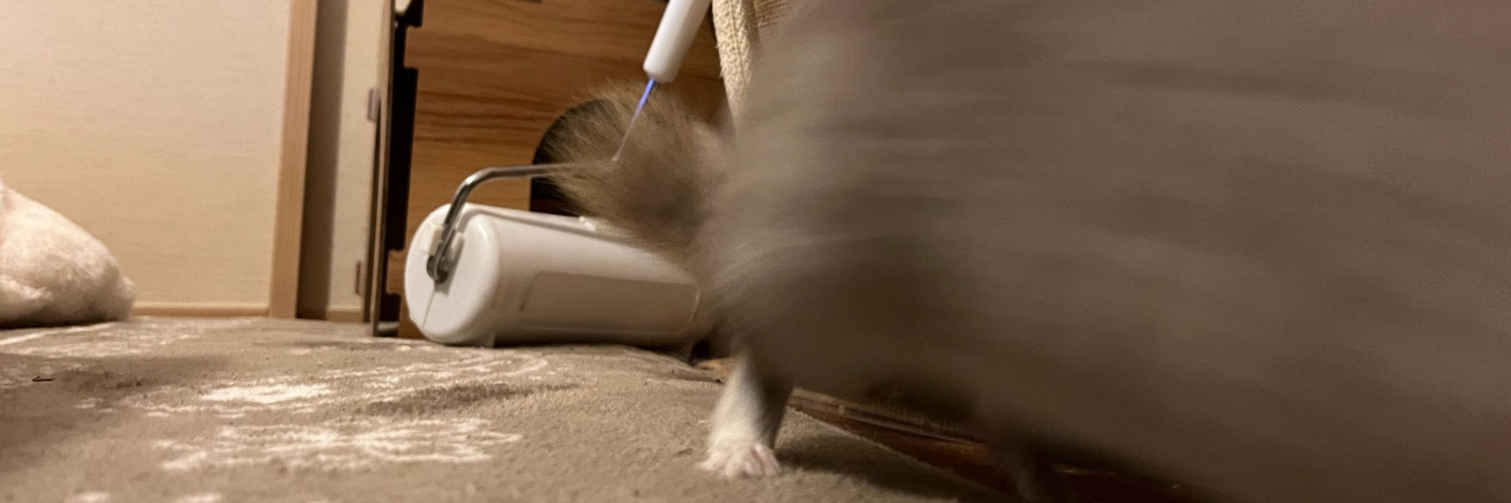 つくね