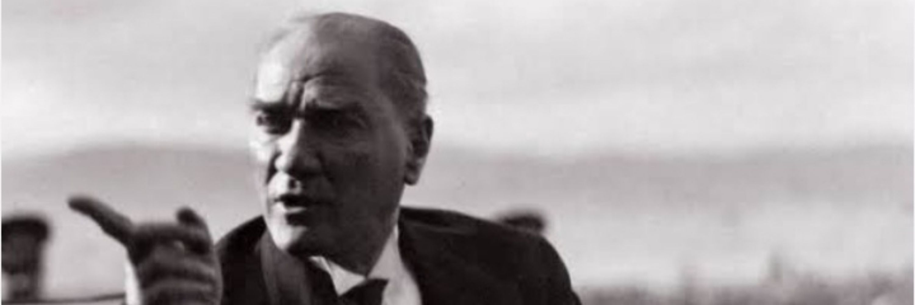 Selvi sarı