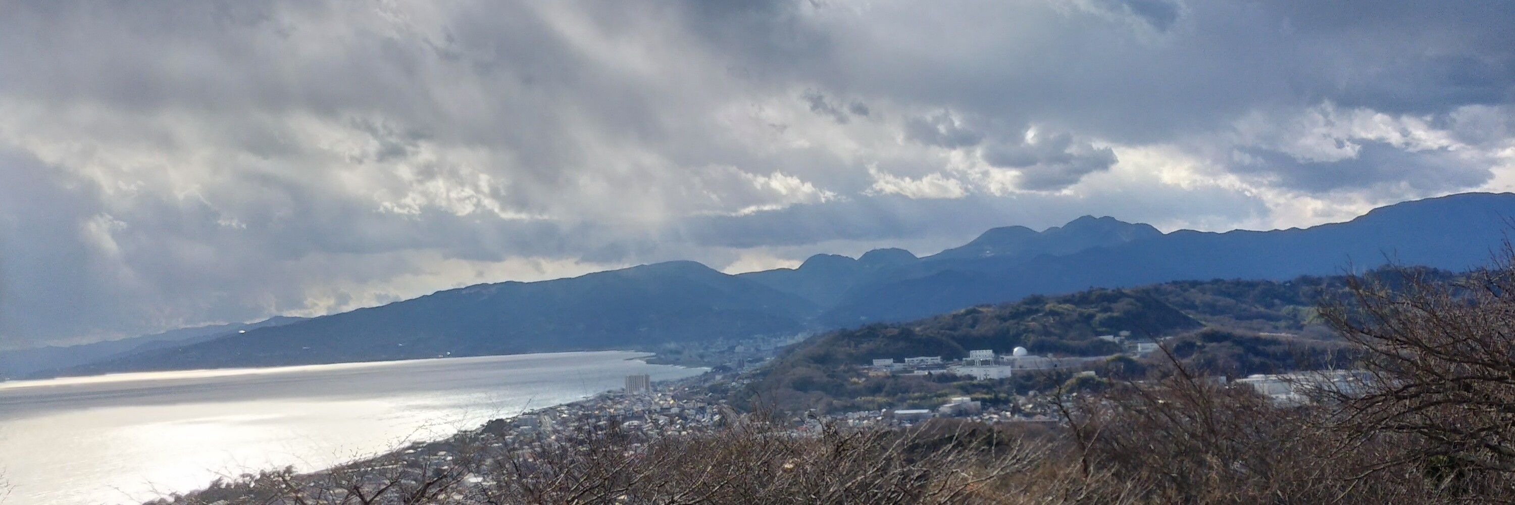 マス